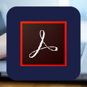 Adobe Acrobat Pro DC 2024 