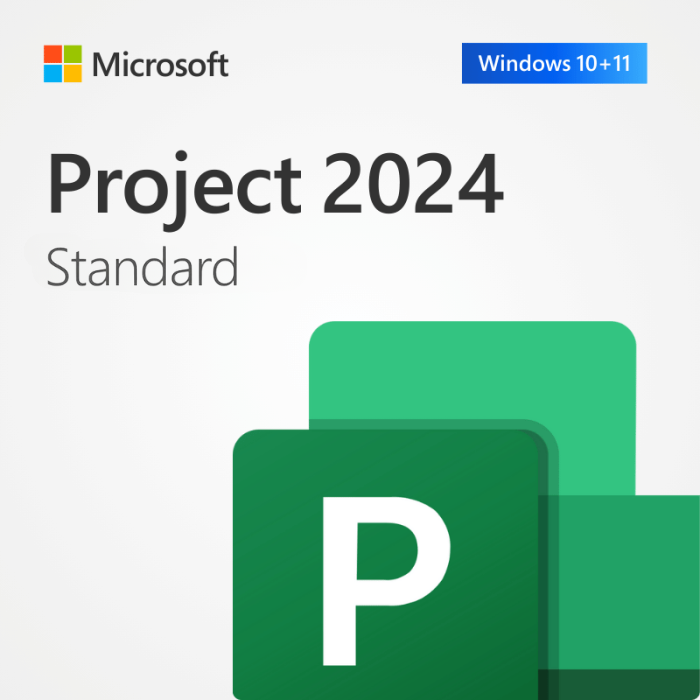 Microsoft Project Standard 2024 | Full Version | Genuine Lifetime License | AUS STOCK
